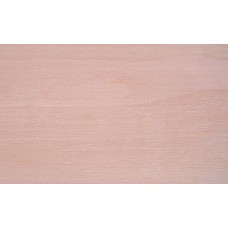 Test ruw hout / Rekenmodule Beukenhout